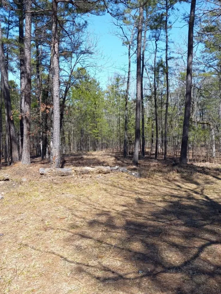 181201 Flat Top Road Moyers, OK 74557