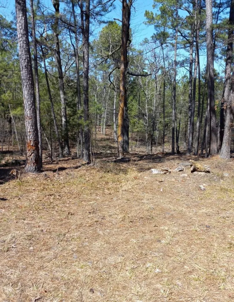 181201 Flat Top Road Moyers, OK 74557