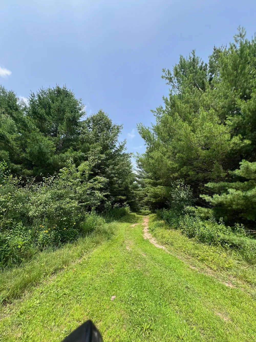 xxxxx Lily Lake Inn Road Webster, WI 54893