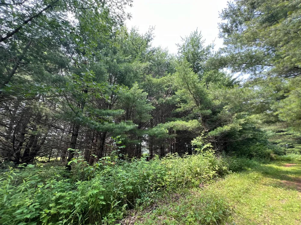 xxxxx Lily Lake Inn Road Webster, WI 54893