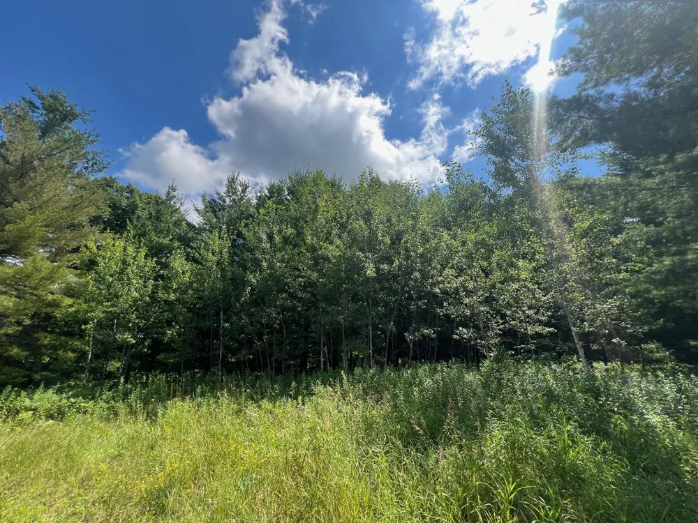 xxxxx Lily Lake Inn Road Webster, WI 54893