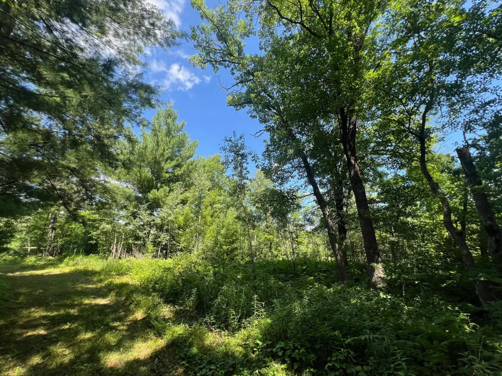 xxxxx Lily Lake Inn Road Webster, WI 54893