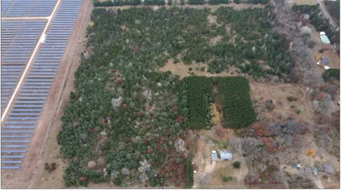LOT 1 Kable Avenue
