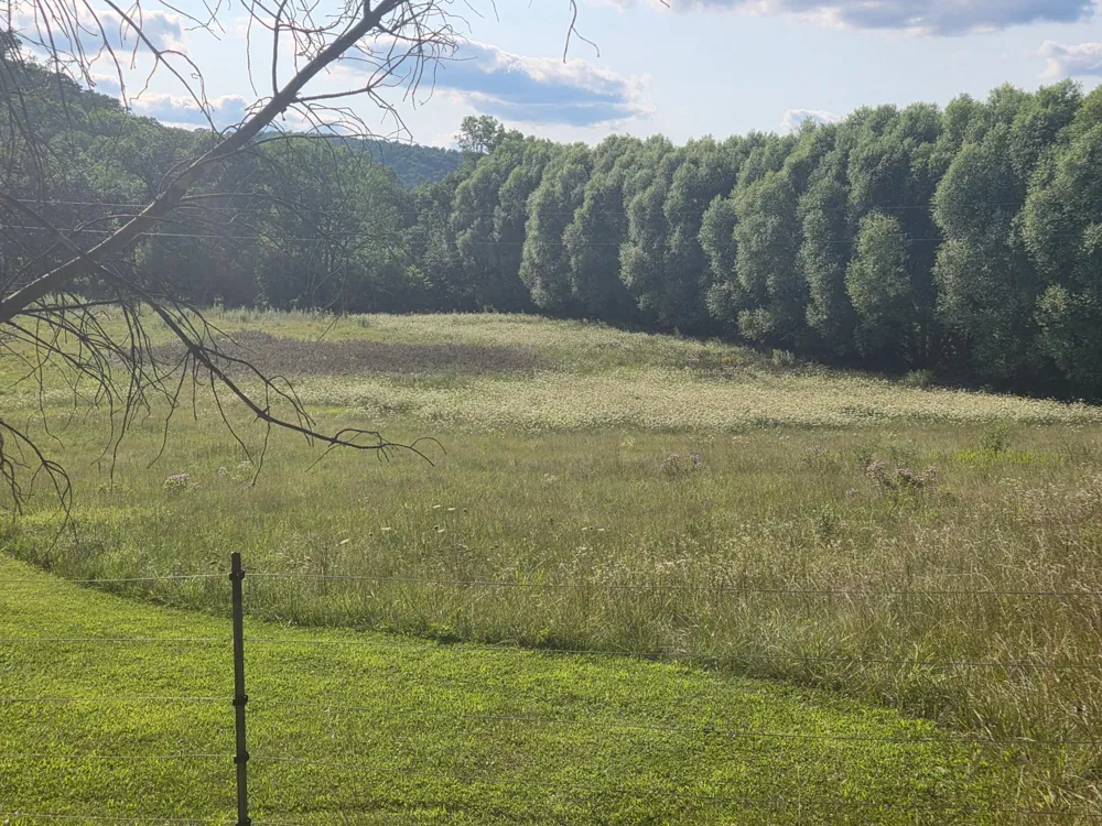 4488 Ferndale Road Rushford, MN 55971
