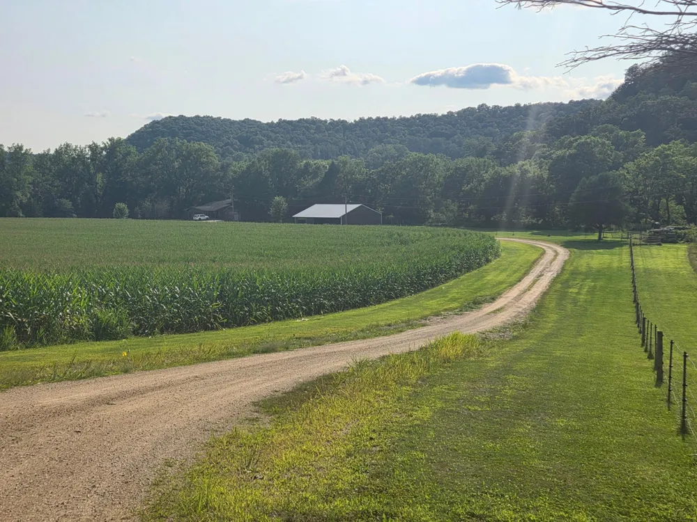4488 Ferndale Road Rushford, MN 55971