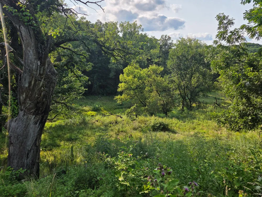 4488 Ferndale Road Rushford, MN 55971