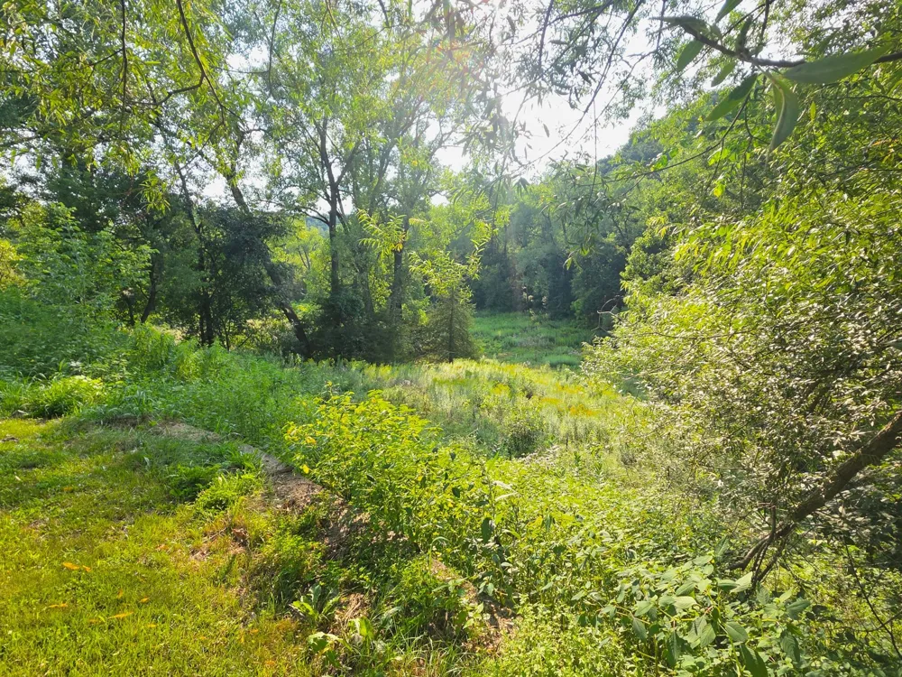 4488 Ferndale Road Rushford, MN 55971