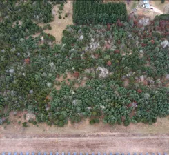 Lot 2 Kable Avenue North Branch, MN 55056