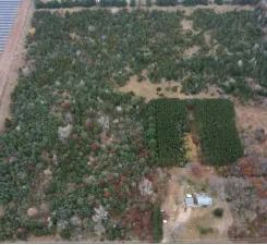 Lot 2 Kable Avenue North Branch, MN 55056