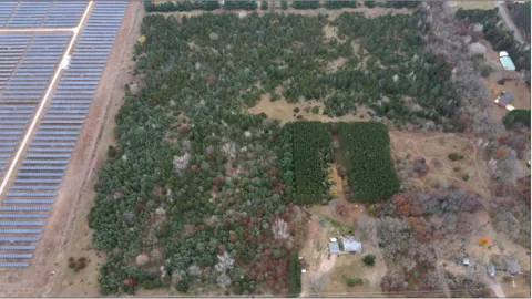 Lot 2 Kable Avenue