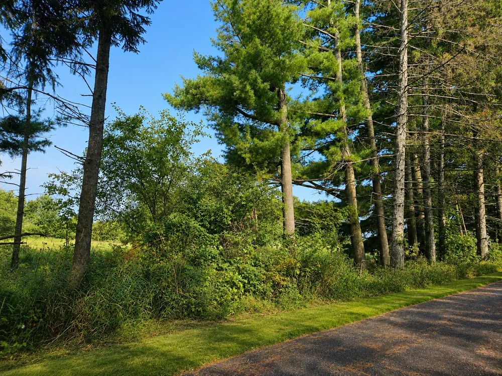 584 21 1/2 AVENUE Cumberland, WI 54829
