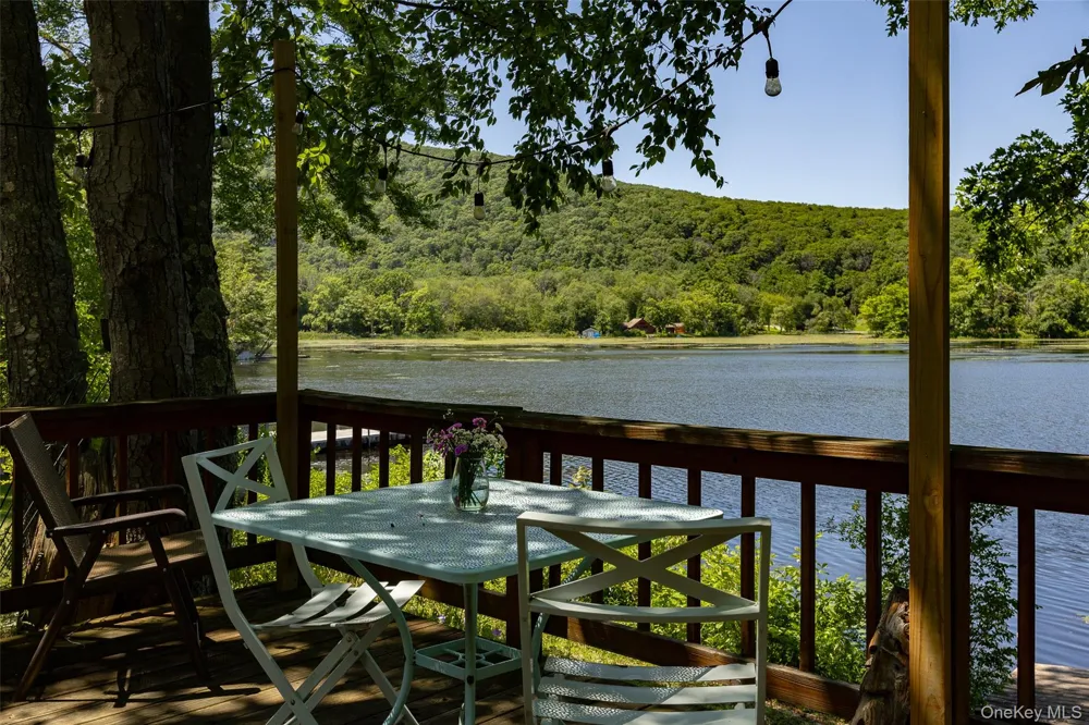 31 Lake Shore Drive Pine Plains, NY 12567