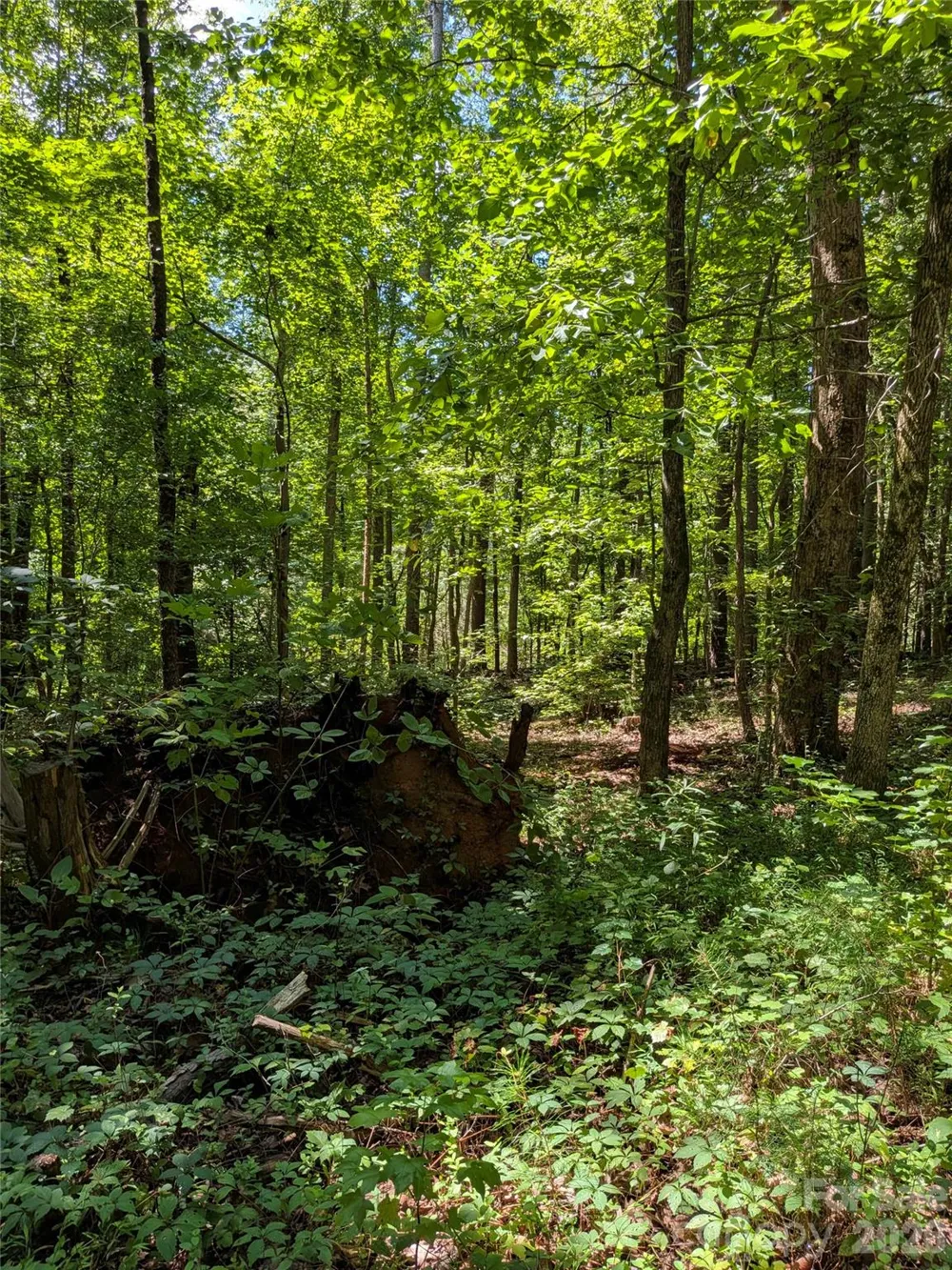 0 Freedom Mill Road #9 Gastonia, NC 28052