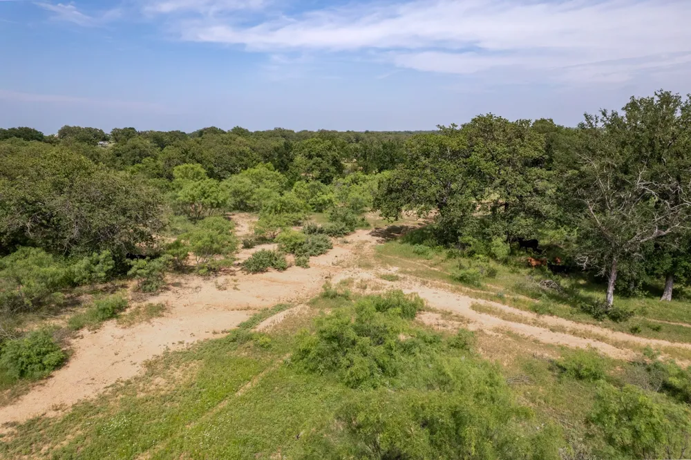 4451 FM585 Bangs, TX 76823