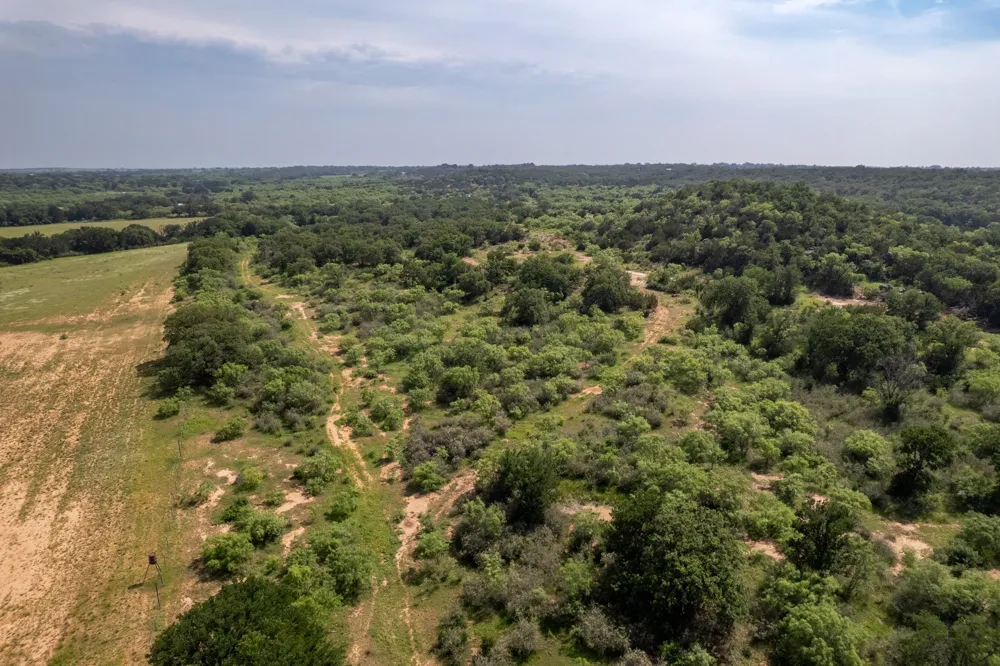 4451 FM585 Bangs, TX 76823