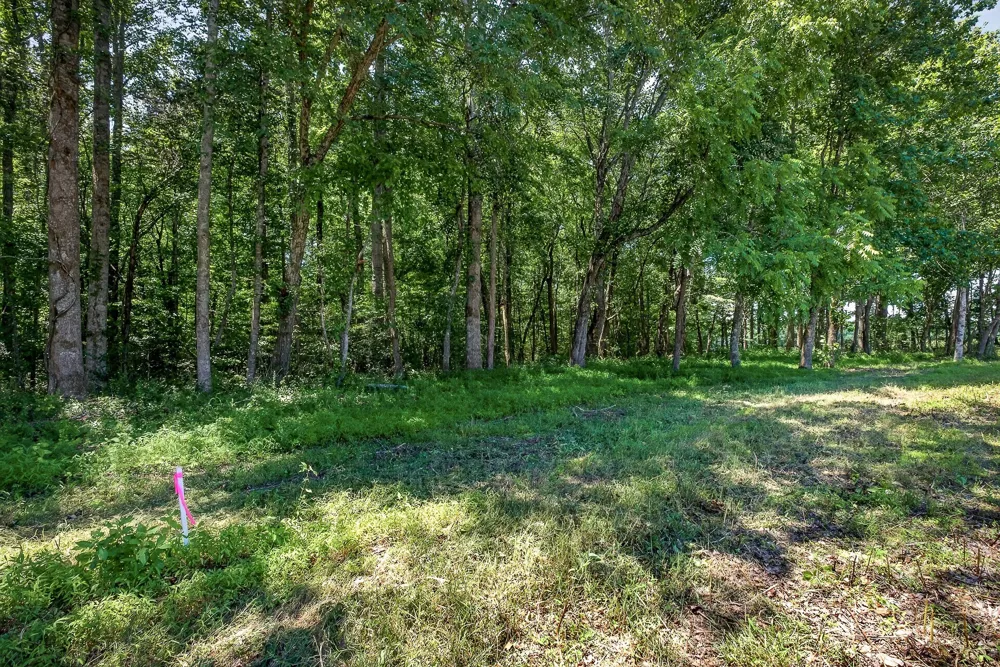 0 Bethel Rd Smithville, TN 37166