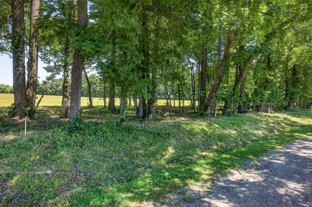 0 Bethel Rd Smithville, TN 37166