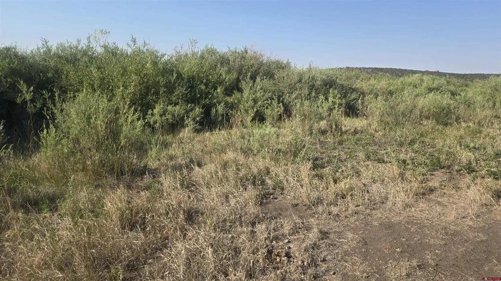 2940 Casey Rd Fort Garland, CO 81133