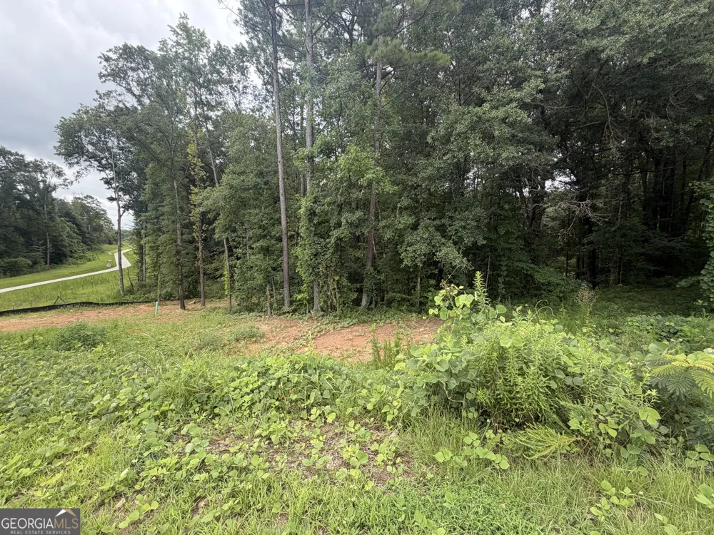 1680 Kilcrease RD Bethlehem, GA 30620