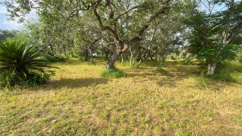 9514 Pvt Paisano Ranch Sinton, TX 78387