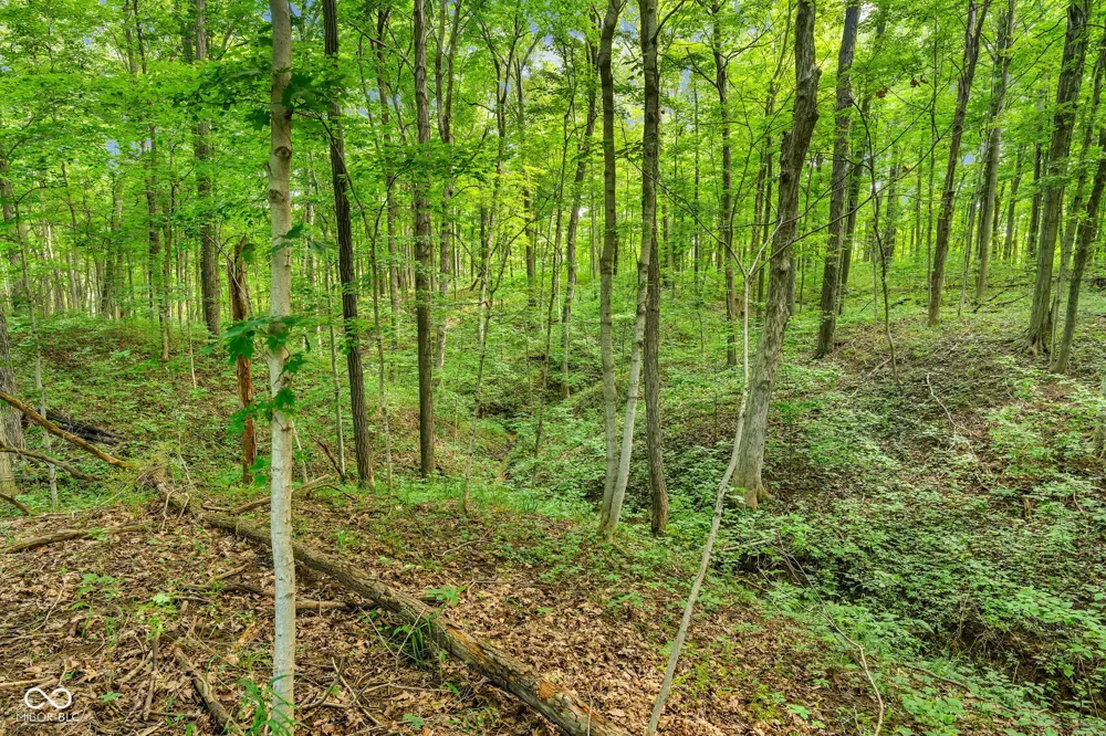 5382 E Old 36 Road Rockville, IN 47872
