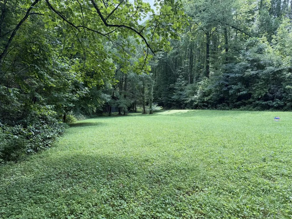 Locust Cove Rd. Robbinsville, NC 28771