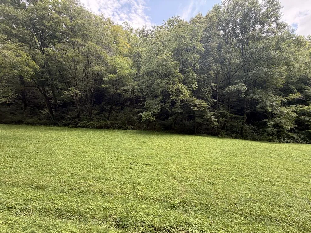 Locust Cove Rd. Robbinsville, NC 28771