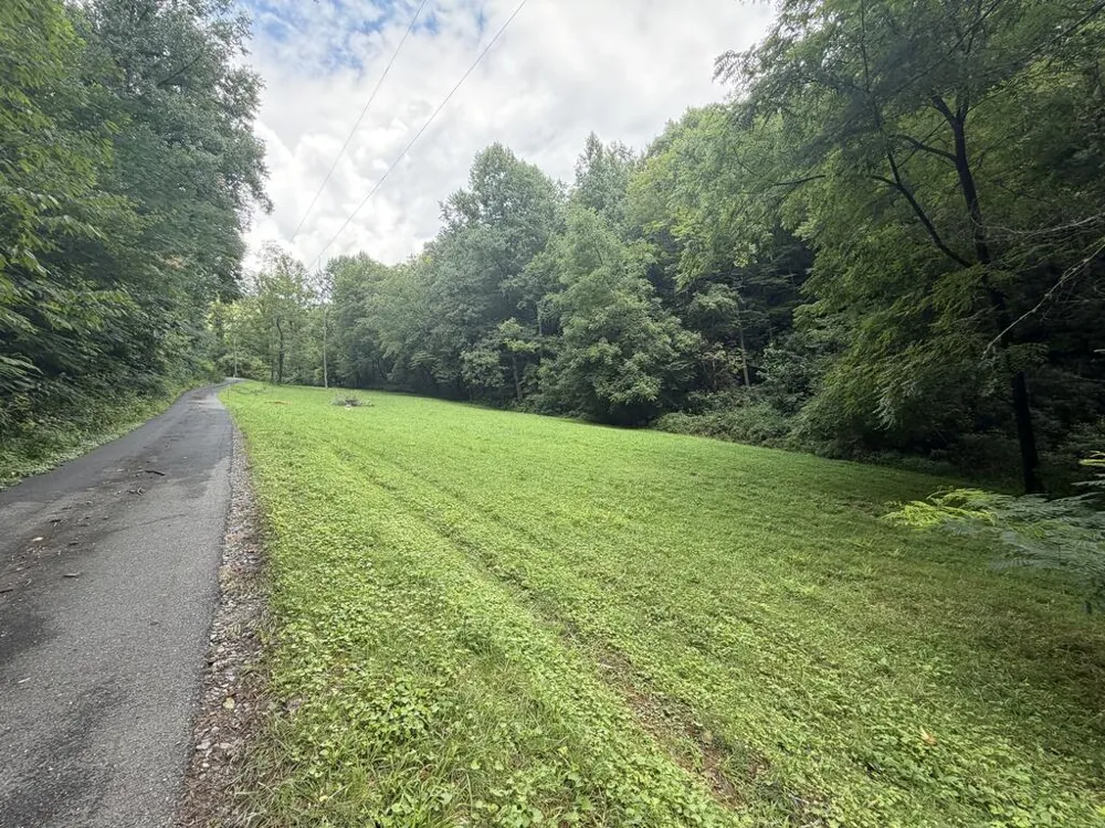 Locust Cove Rd. Robbinsville, NC 28771