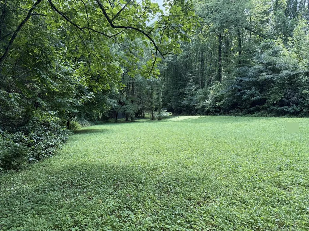 Locust Cove Rd. Robbinsville, NC 28771