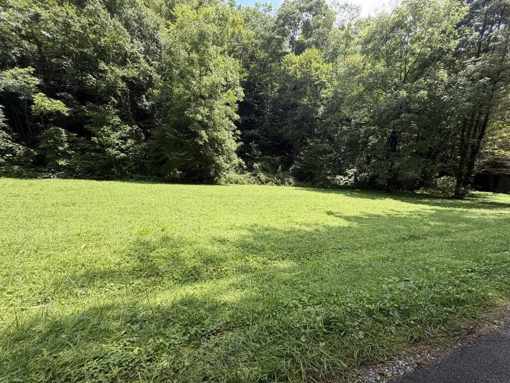 Locust Cove Rd. Robbinsville, NC 28771