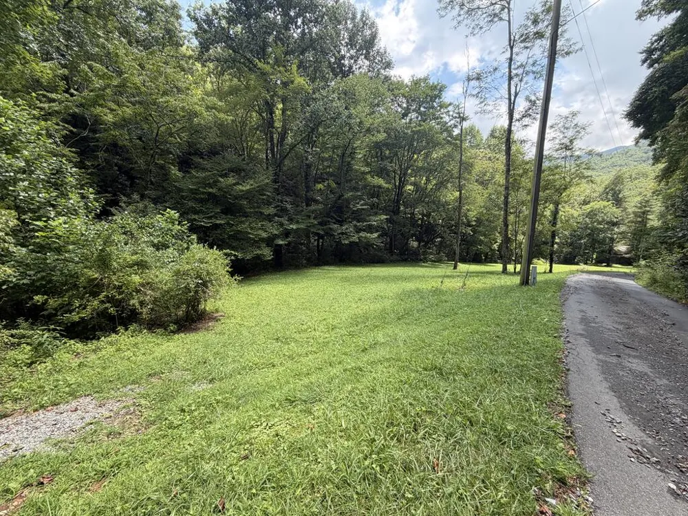 Locust Cove Rd. Robbinsville, NC 28771