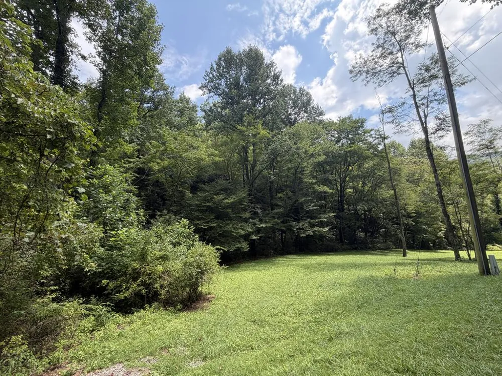 Locust Cove Rd. Robbinsville, NC 28771