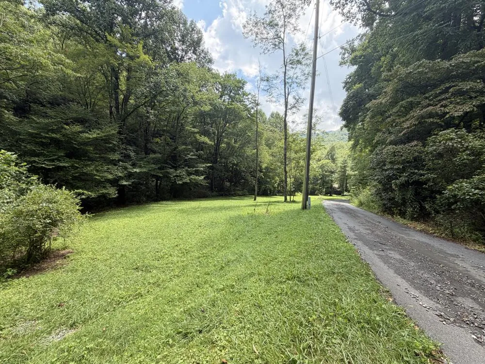 Locust Cove Rd. Robbinsville, NC 28771