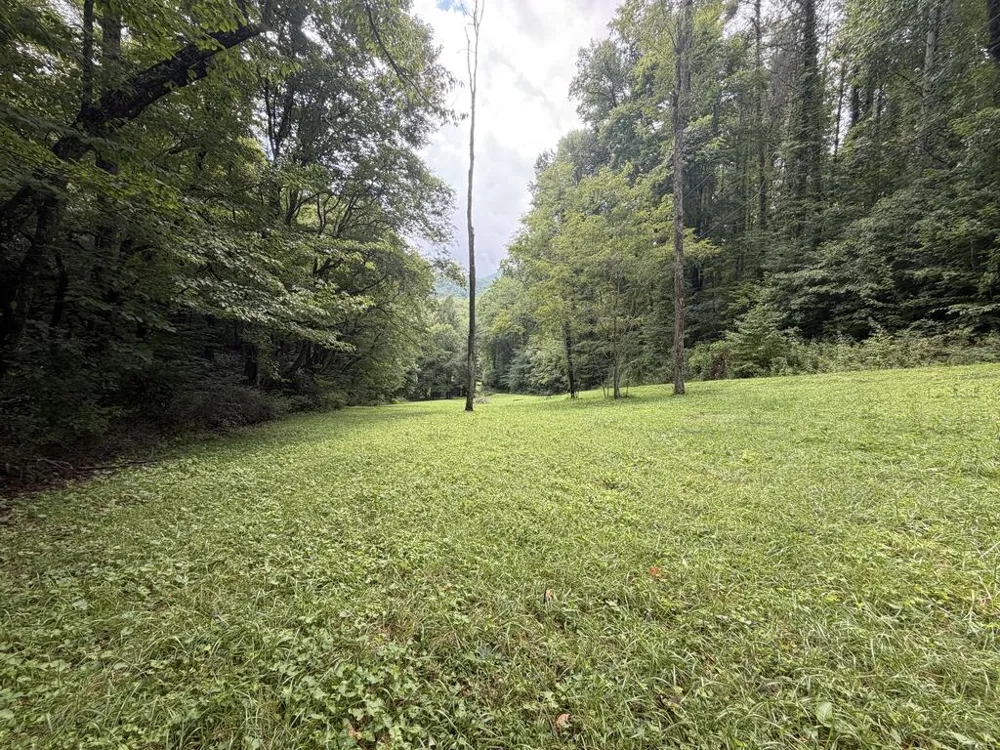 Locust Cove Rd. Robbinsville, NC 28771