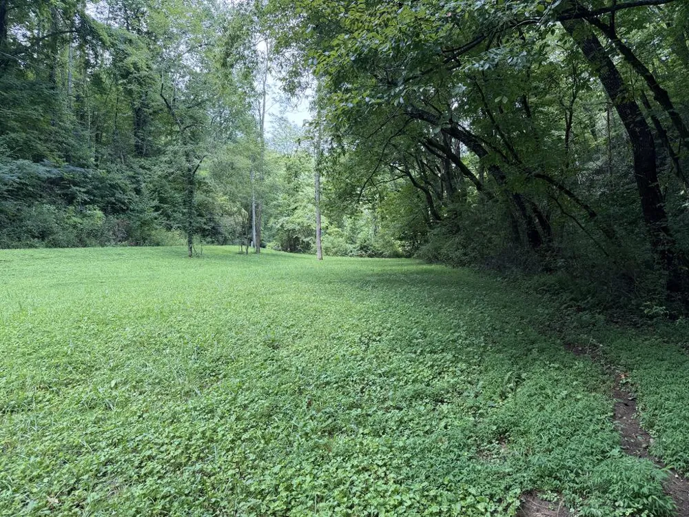 Locust Cove Rd. Robbinsville, NC 28771