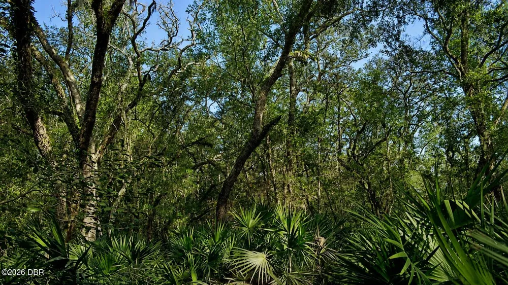 980 Arroyo Parkway Ormond Beach, FL 32174