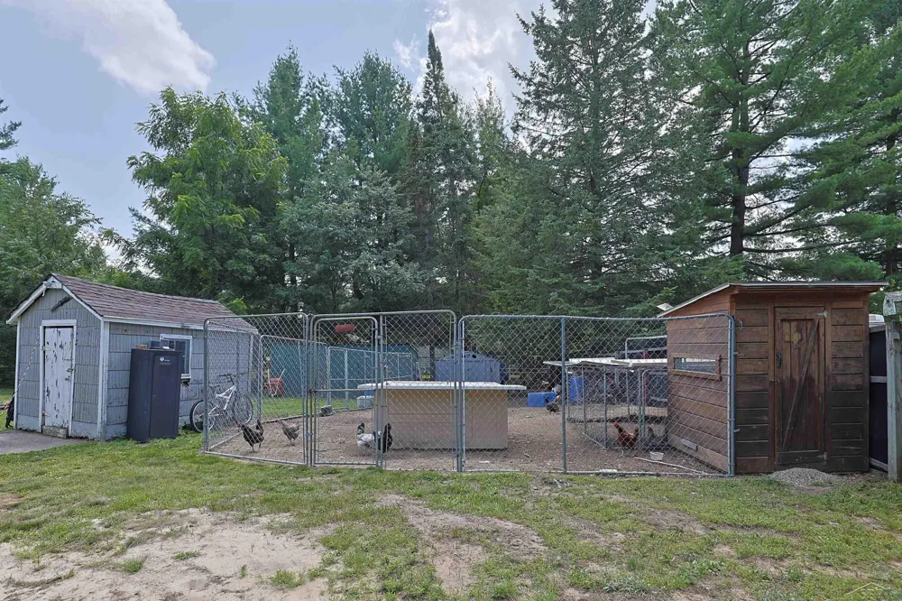 1520 Northwoods Drive Mills Township, MI 48610