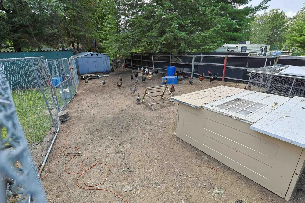 1520 Northwoods Drive Mills Township, MI 48610