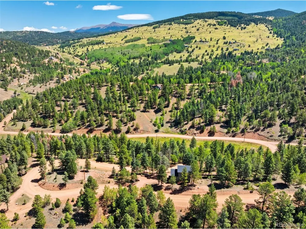 475 Crystal Drive Cripple Creek, CO 80813