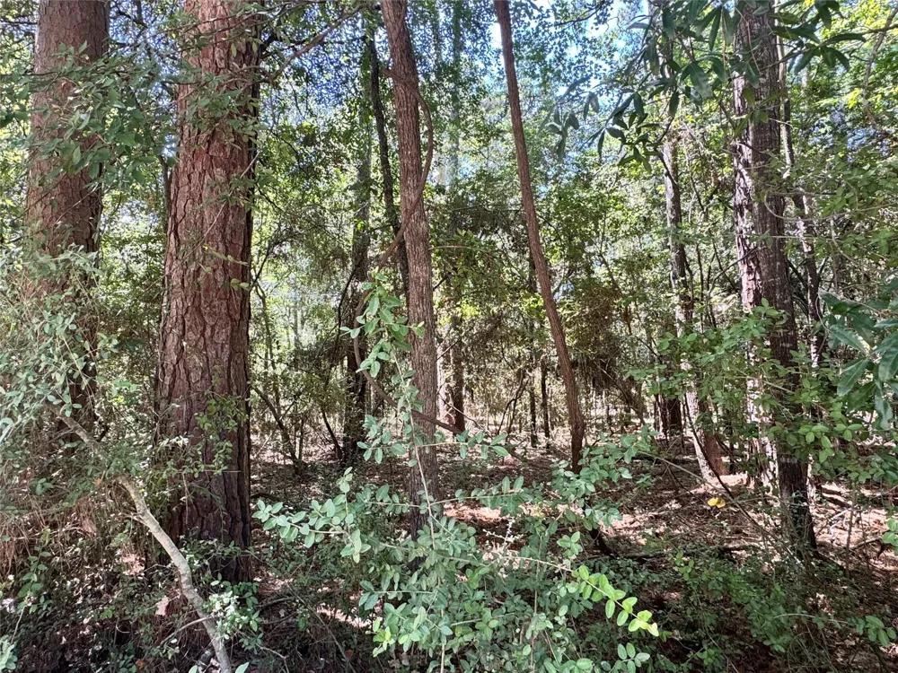 34 Westwood Drive East Trinity, TX 75862