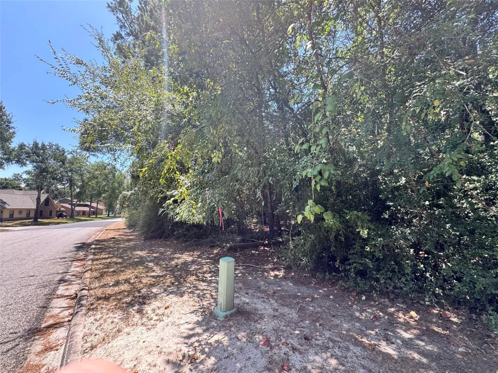 34 Westwood Drive East Trinity, TX 75862