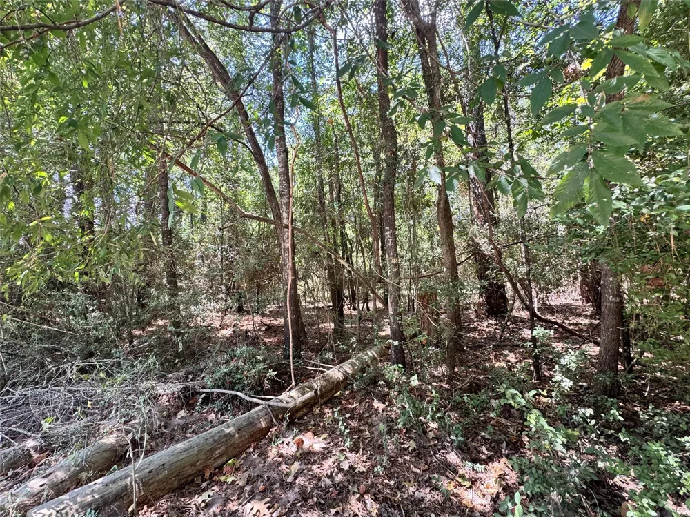 34 Westwood Drive East Trinity, TX 75862