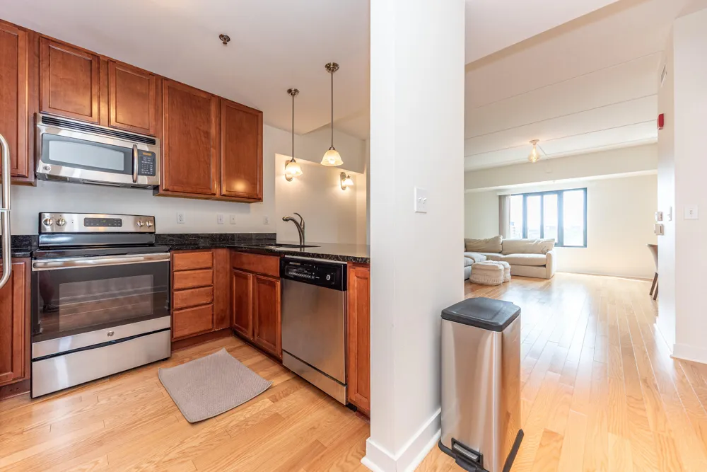 111 Ashley Street #804 Ann Arbor City, MI 48104