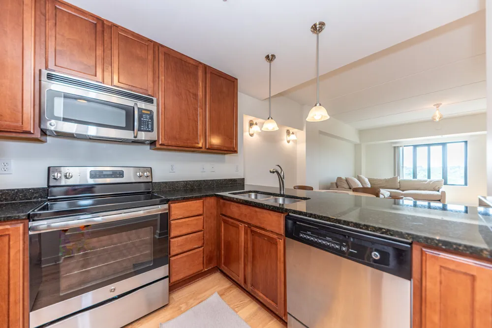 111 Ashley Street #804 Ann Arbor City, MI 48104