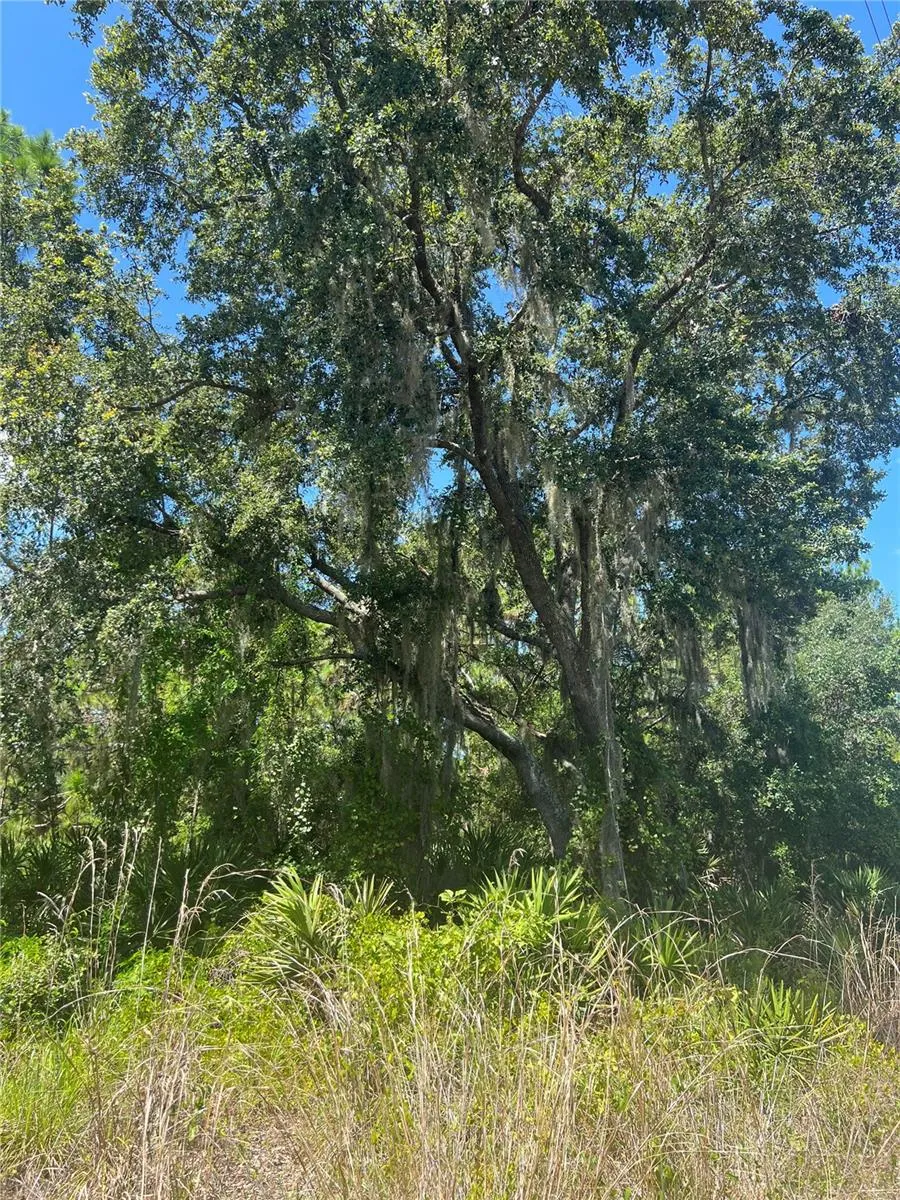 0 GRANADA DRIVE Indian Lake Estates, FL 33855