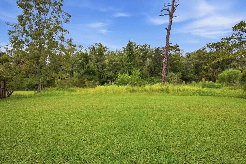 8531 HORIZON LANE Hudson, FL 34667
