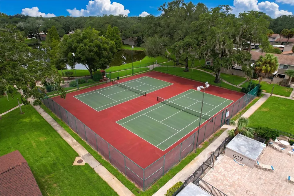 7907 SABAL DRIVE Temple Terrace, FL 33637