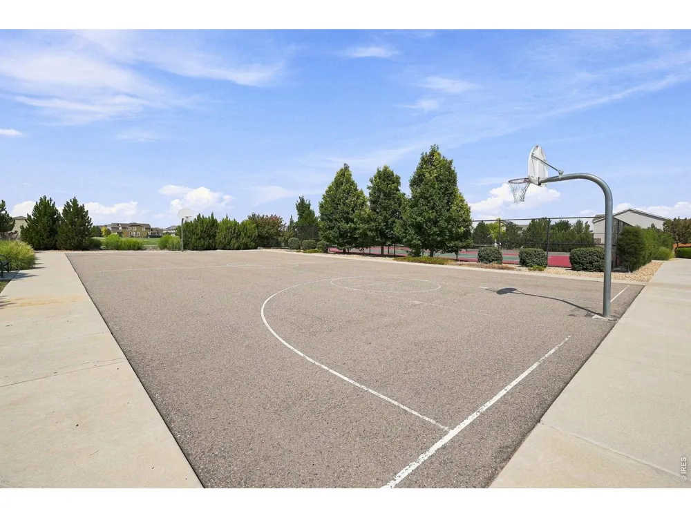 3101 E 163rd Place Thornton, CO 80602