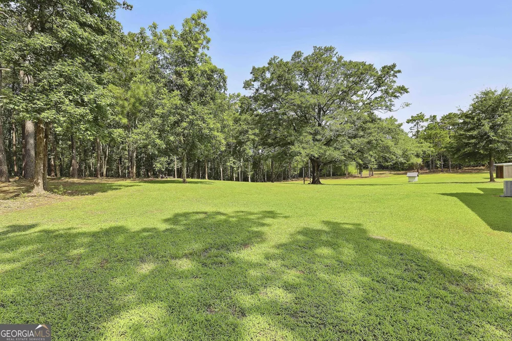 1966 Owens RD Woodbury, GA 30293