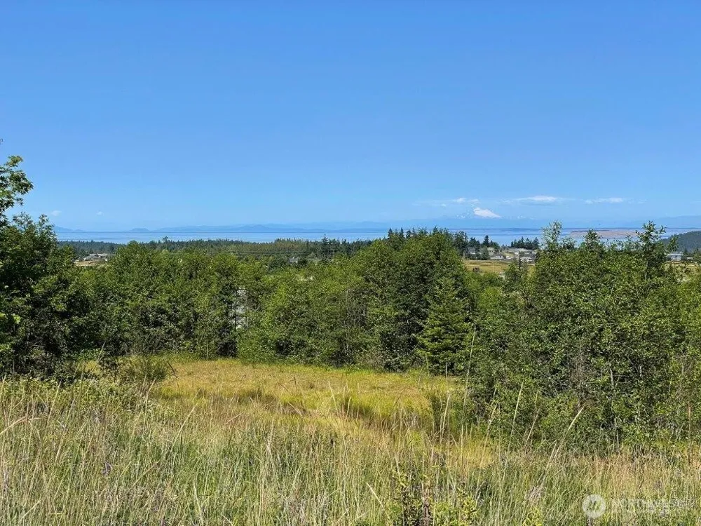 9999 Solana South Phase 2 Sequim, WA 98382